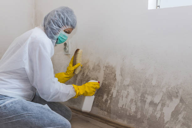 Best Crawl Space Mold Removal  in Belleville, PA