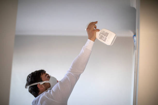 Best Same-Day Mold Removal  in Belleville, PA