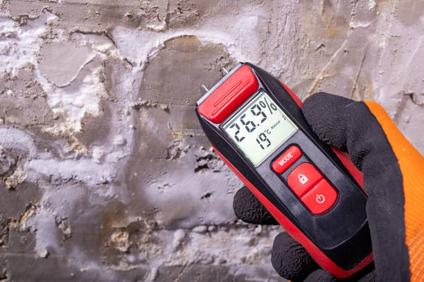 Best Mold Removal Near Me  in Belleville, PA