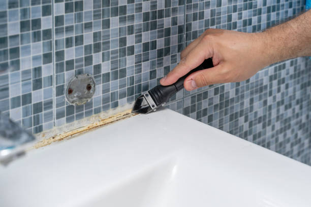 Best Mold Testing  in Belleville, PA
