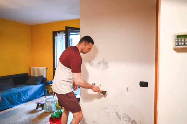 Best Professional Mold Removal  in Belleville, PA